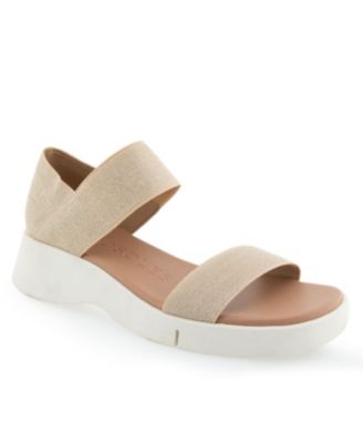 Aerosoles