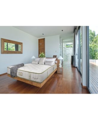 Paramount - Nature Spa Exhale 2.0 13" Plush Mattress-Twin XL