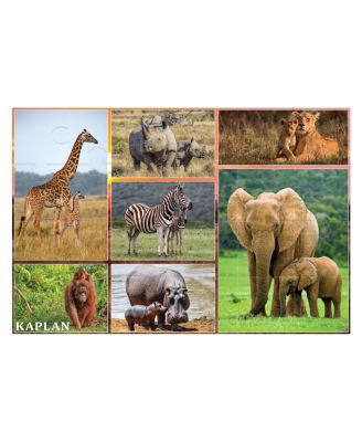 Kaplan Early Learning Company
