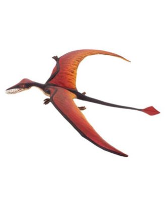 Safari Ltd