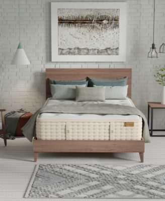 King Koil - Natural Orchid Plush 14.5" HyBrid Mattress Set- Twin