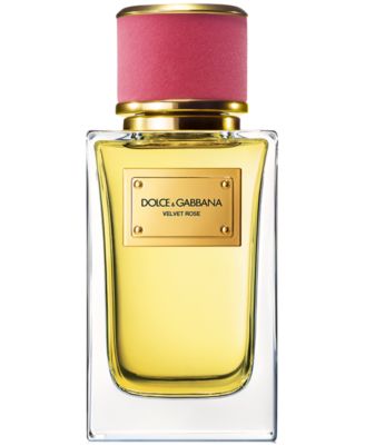 Dolce&Gabbana - DOLCE&GABBANA Velvet Rose Eau de Parfum, 3.3 oz.